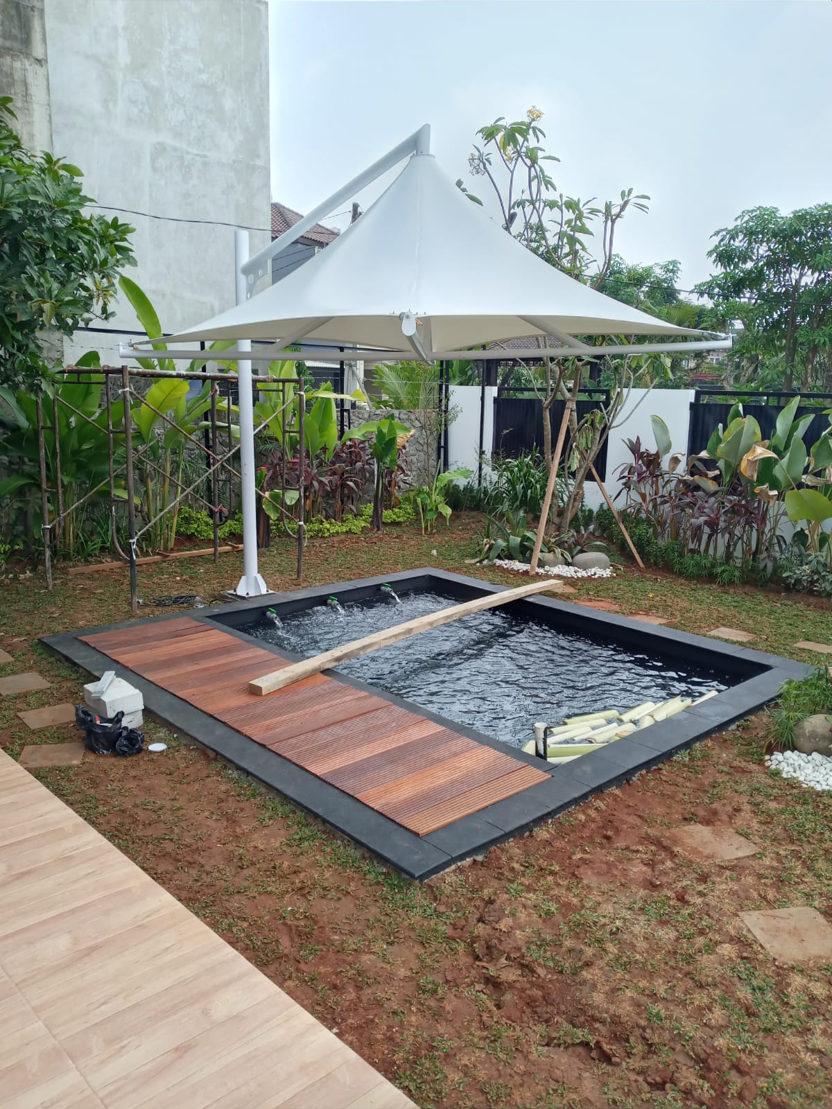 arcasenaimage07